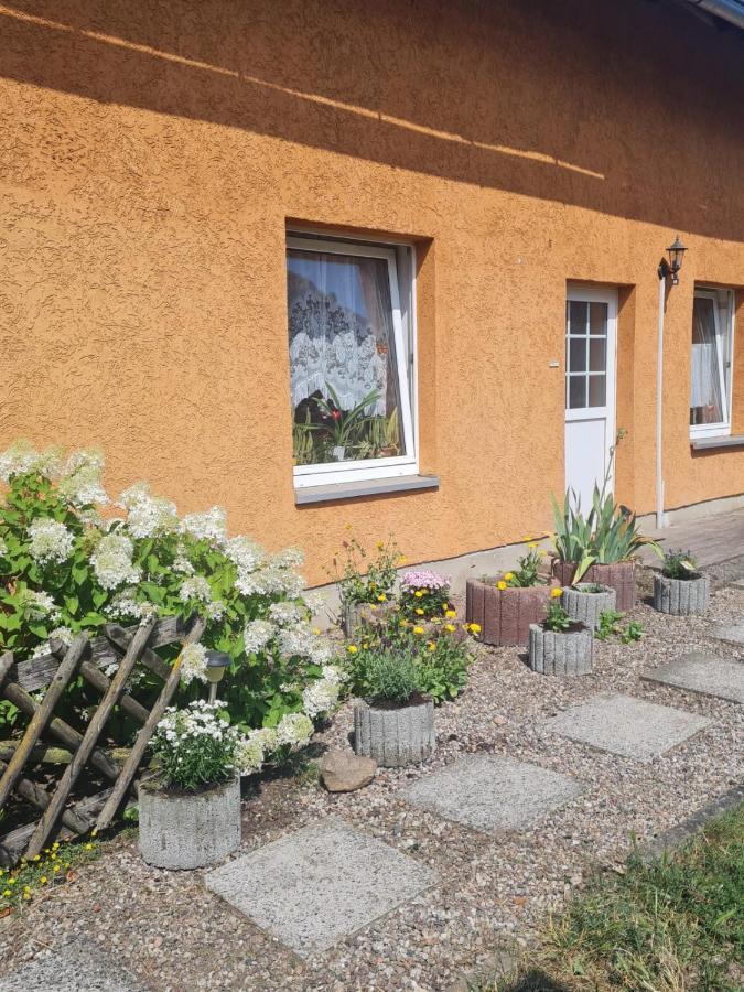 Ferienwohnung Warnitz Blankenburg  외부 사진